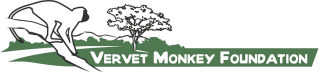 Vervet Monkey Foundation Virtual Adoptions